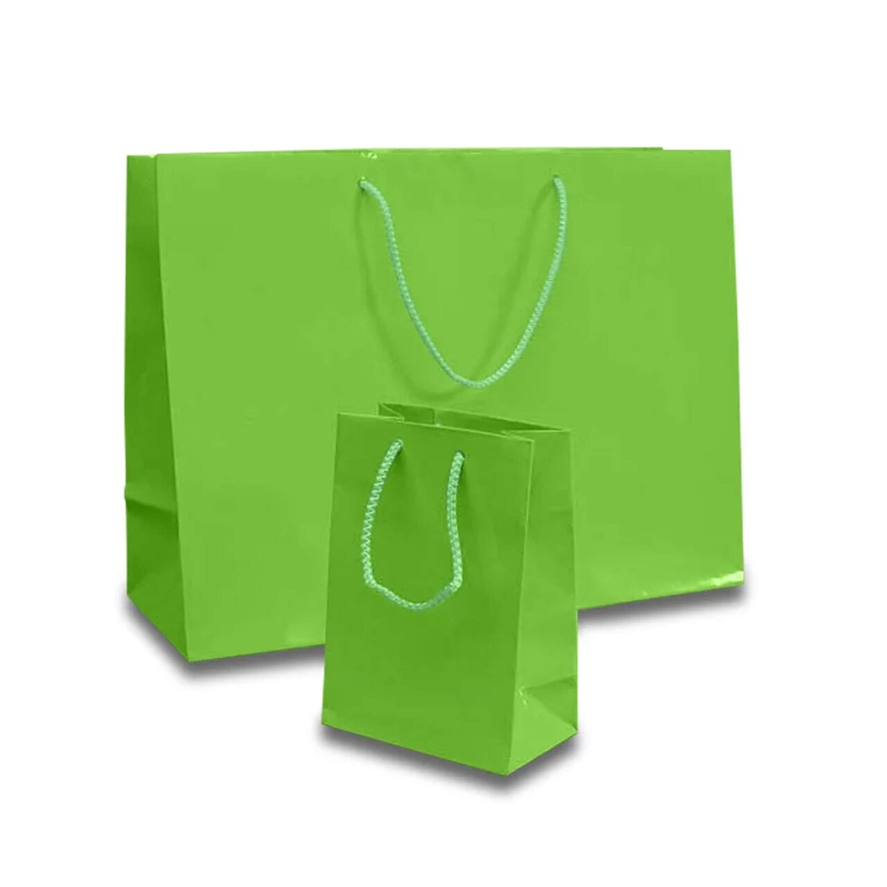 Elegant and Compact Gift Bags Glossy Totes 4 3/4'' x 2 3/4'' x 6 3/4''